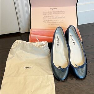 Repetto Women's Shimmering Blue Flats
